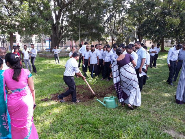 Commencement of Work & Special Sandalwood Tree Planting – 2020